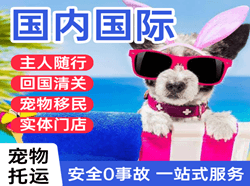 忻州五台山航空物流国际宠物托运 【国